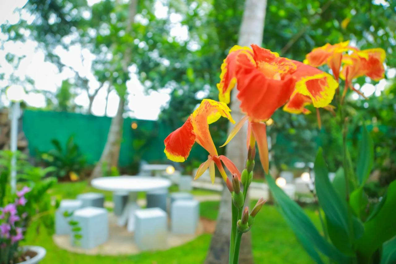 Hotel Moonstone Anuradhapura Esterno foto